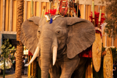 ChatGPT-Image-24-mar-2026-18_14_40