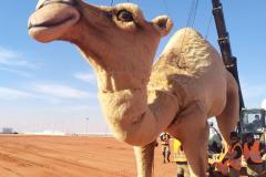 1_IMG-20230324-WA0052