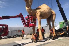 WhatsApp-Image-2021-08-17-at-20.01.24