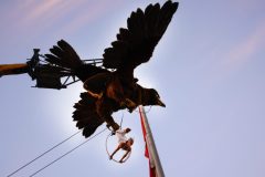 desfile-paris-parade-2012-155_8555159245_o-scaled