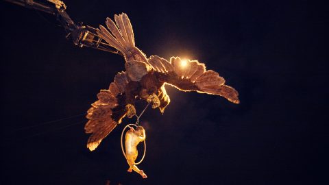 Águila Sofía (9)