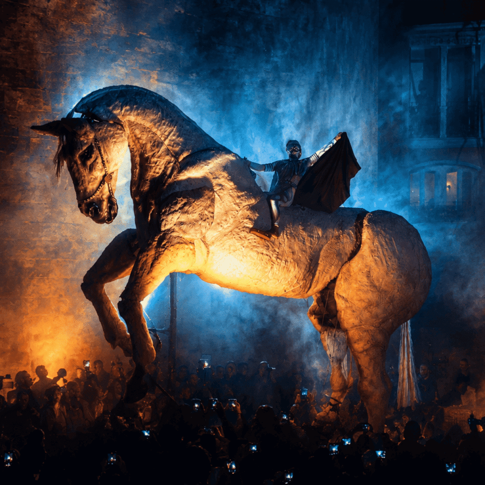 CABALLO_1_1