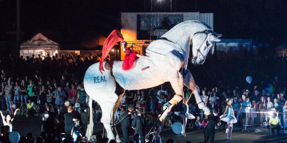 Caballo-Real-5