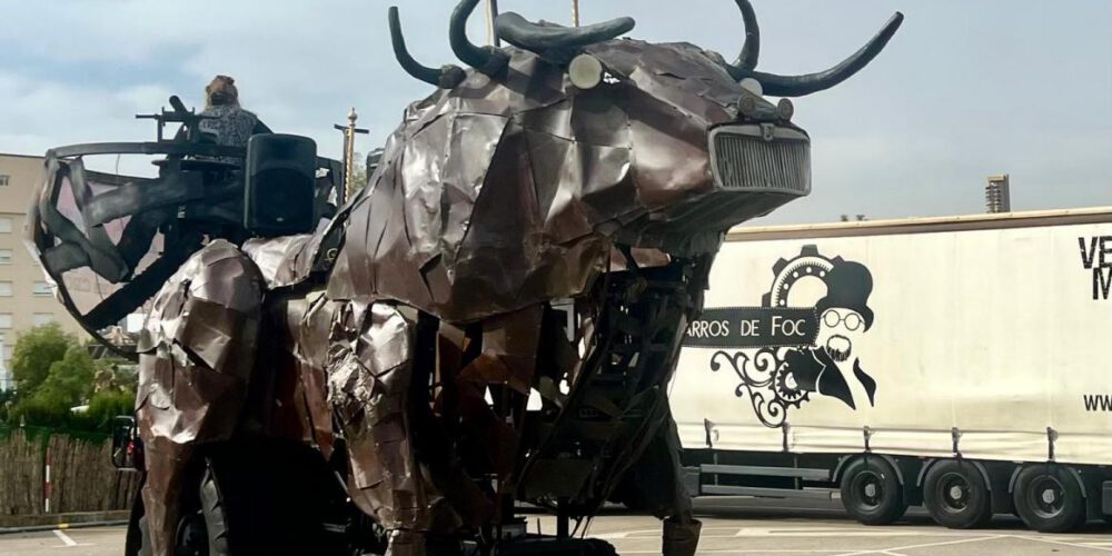 TORO-PARA-WEB