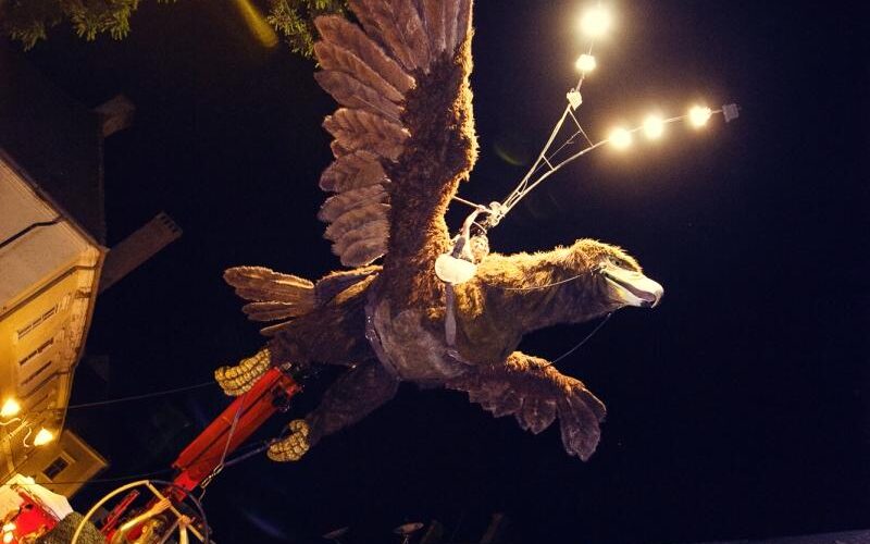 aguila-sophia-alba-iulia-rumania-1_8889347905_o