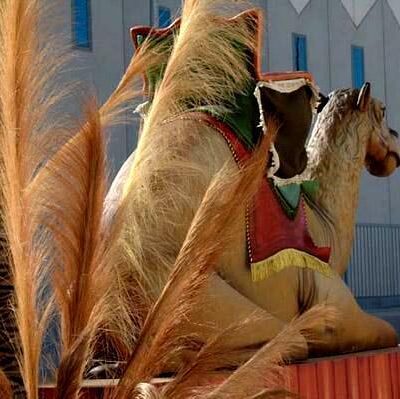 diseno-carrozas-reyes-magos